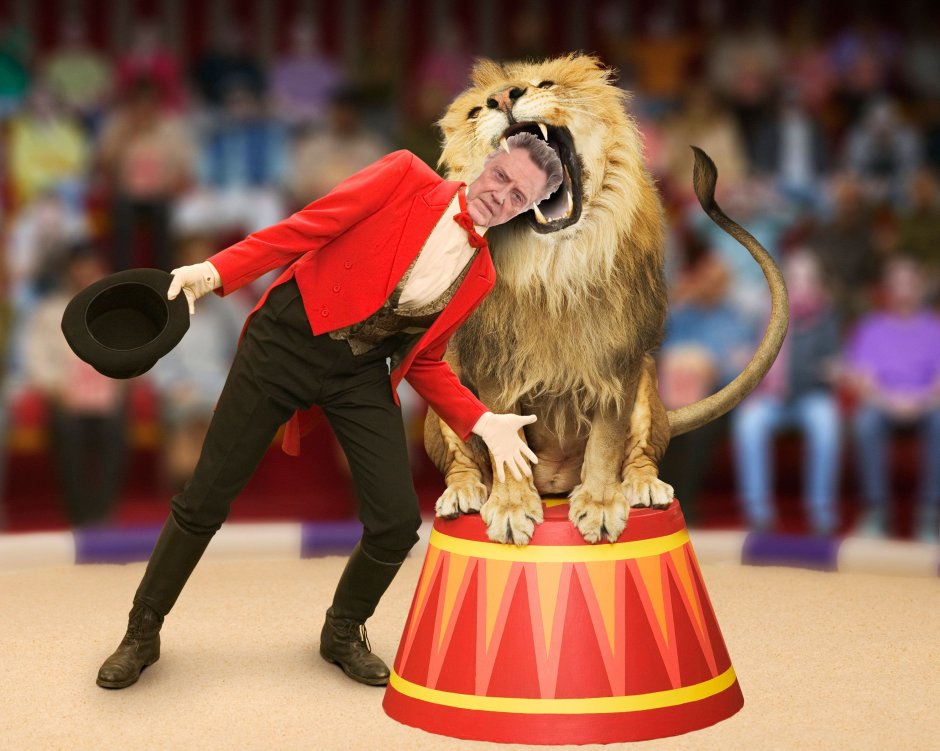 Дрессировщик тигров в цирке Никулина