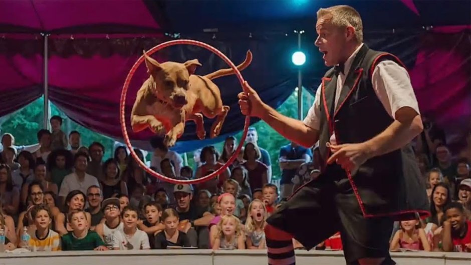 Цирк ревю фото