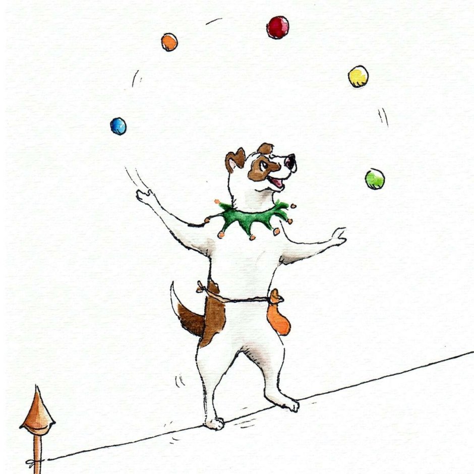 Дрессированные Пудели