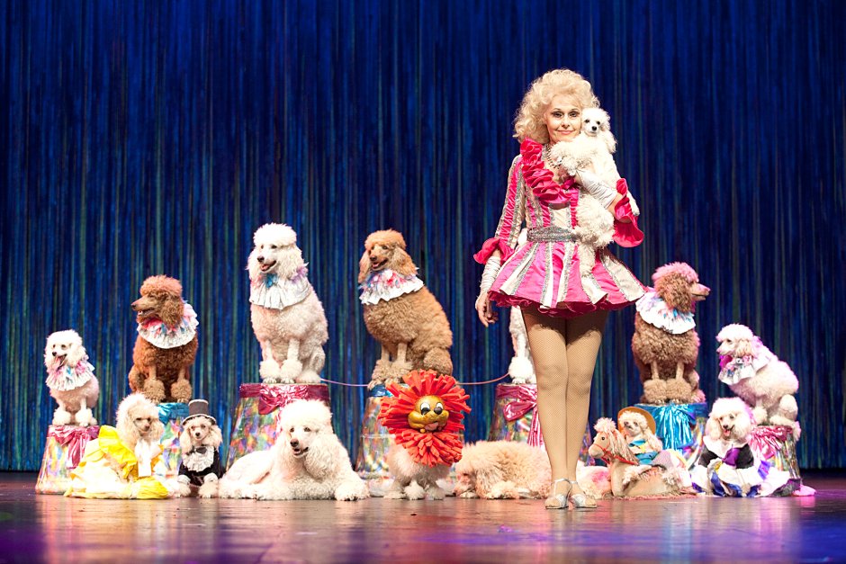 Цирк шапито дю солей