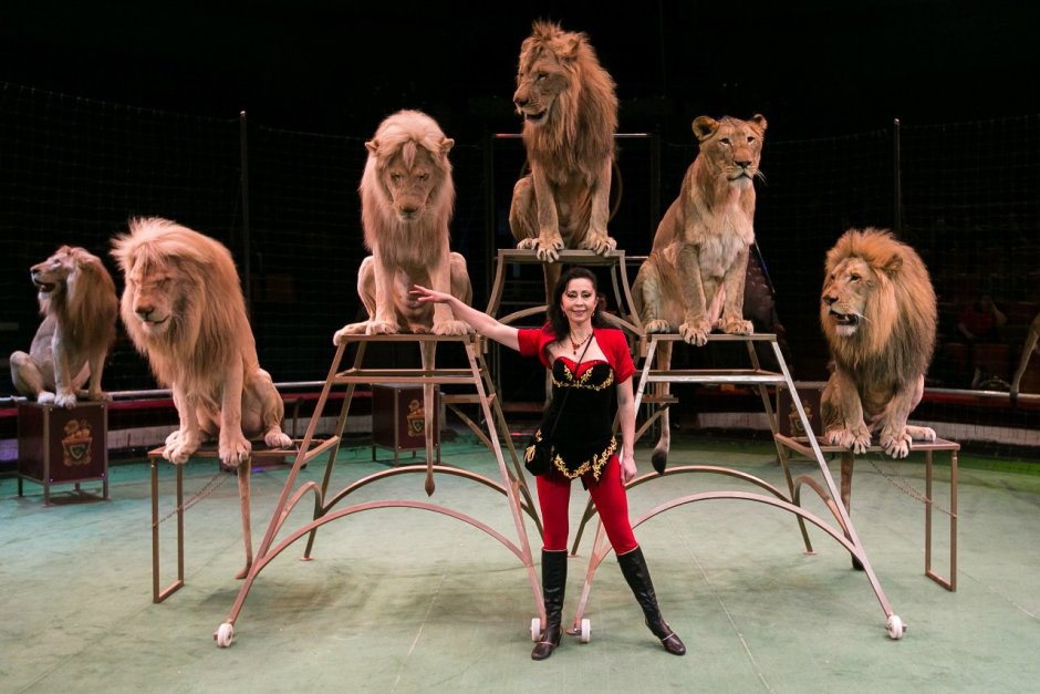 Цирк Никулина на Цветном бульваре 2022