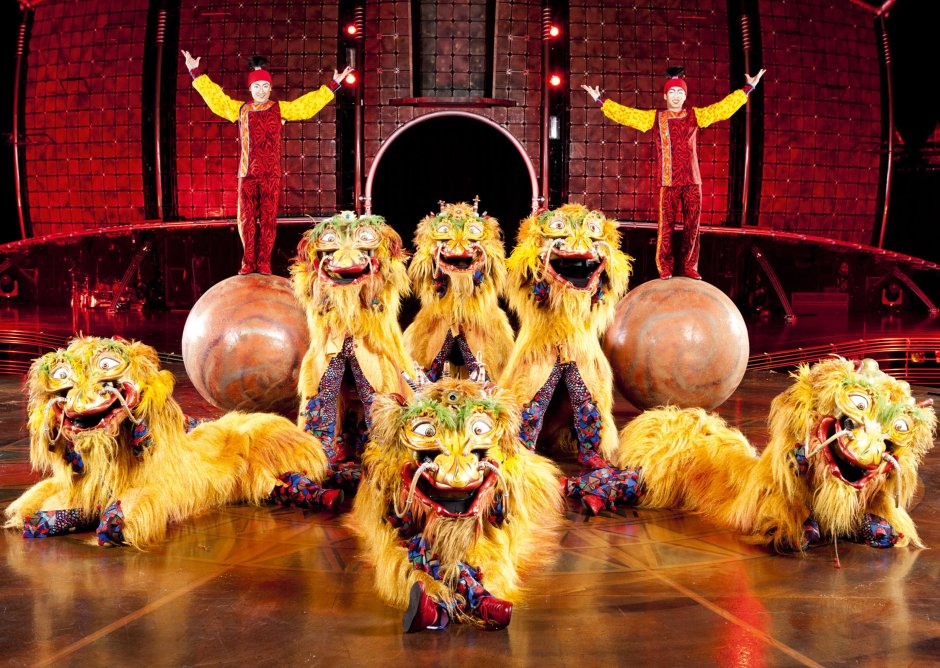 Собачки в цирке для детей