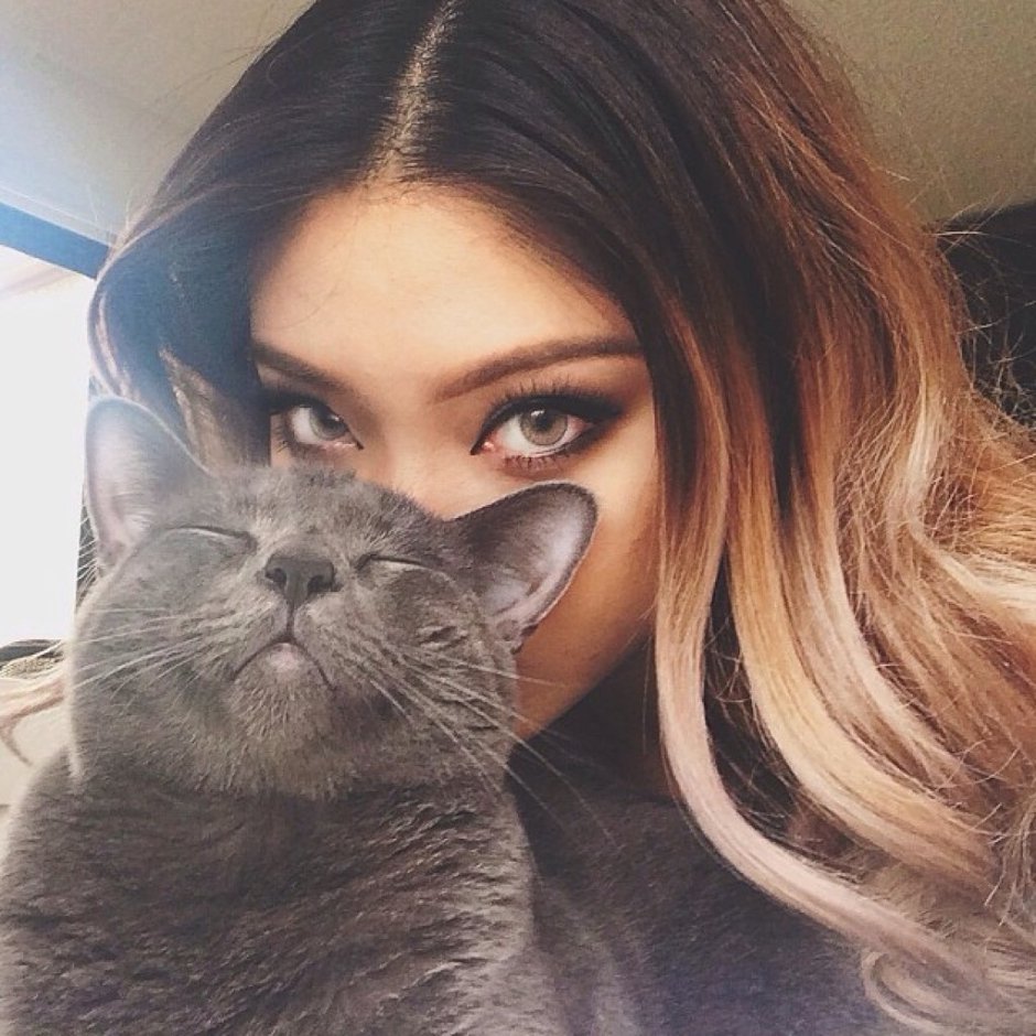 Матильда кошка