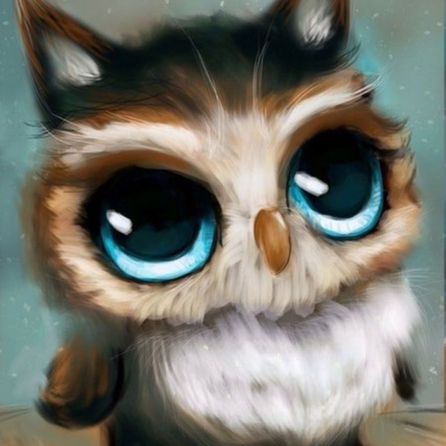 Голубая Сова