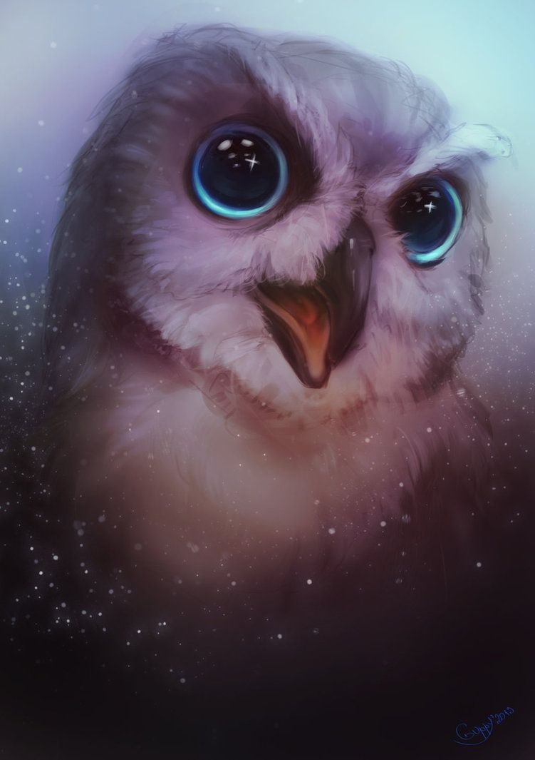 Обои на РАБОЧИЙС стол с совой