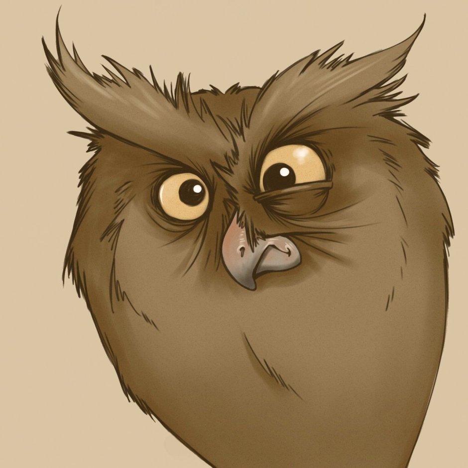 Сова удивление