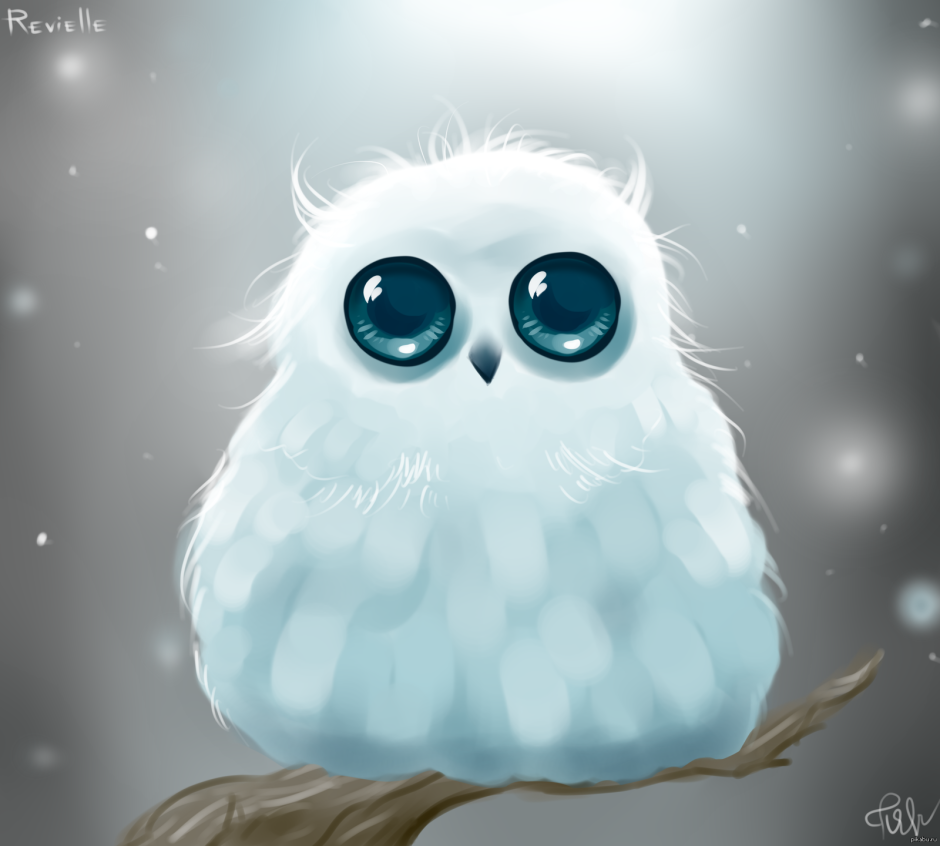 Голова Совы