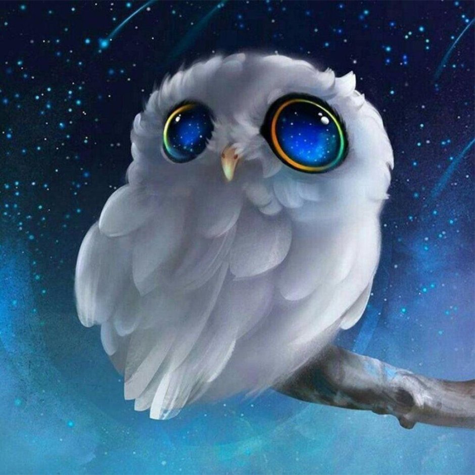 Сова с большими глазами