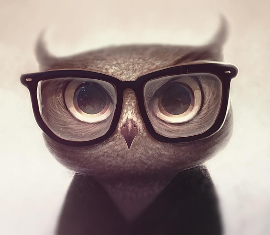 Смешные птенцы Совы