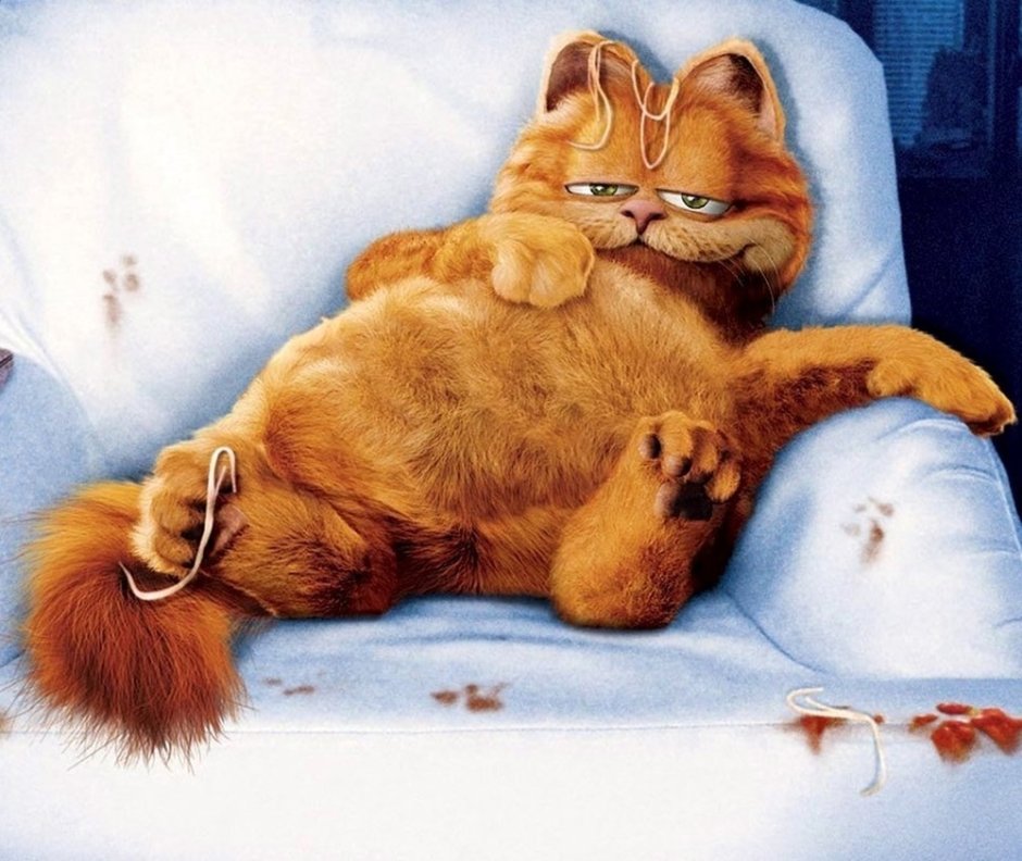 Гарфилд фильм 2004