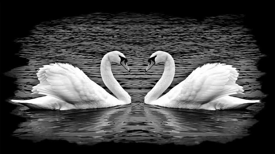 Памятник с лебедем