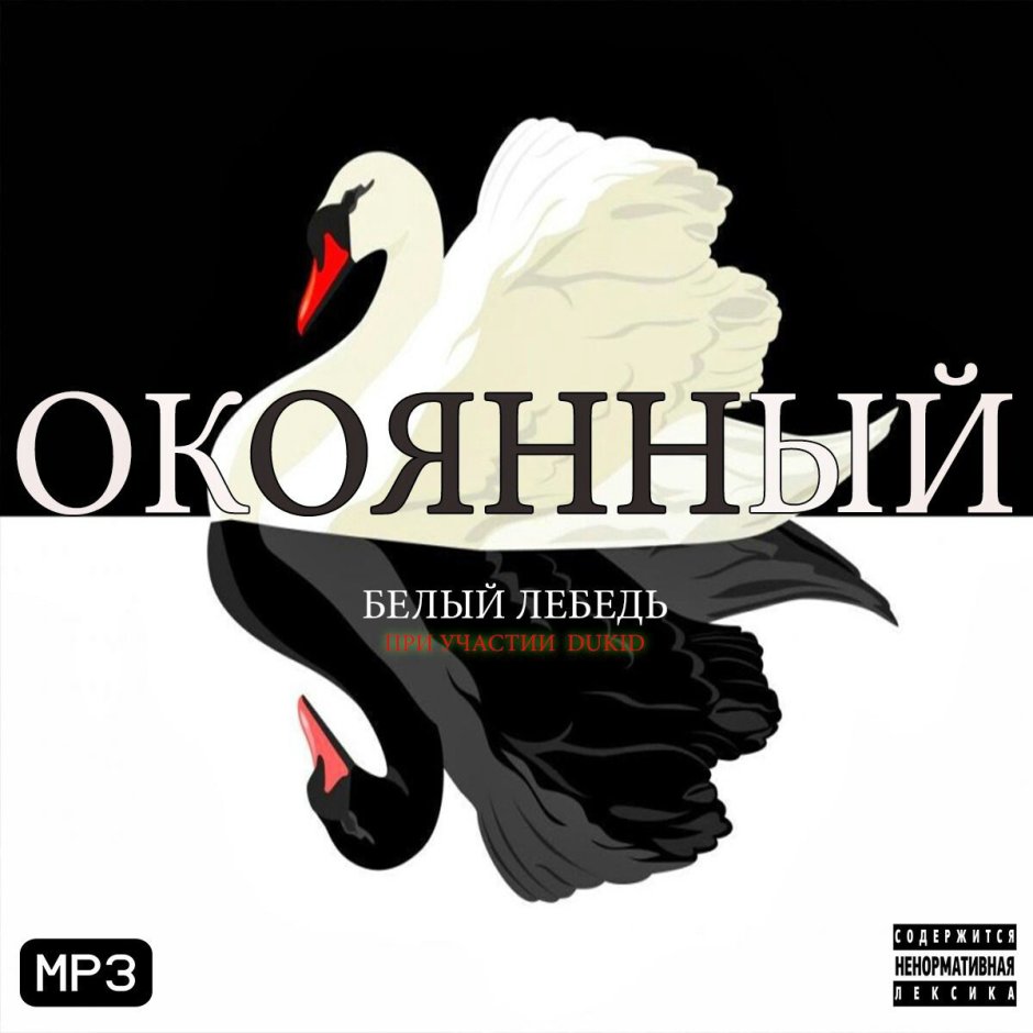 Белый лебедь зона