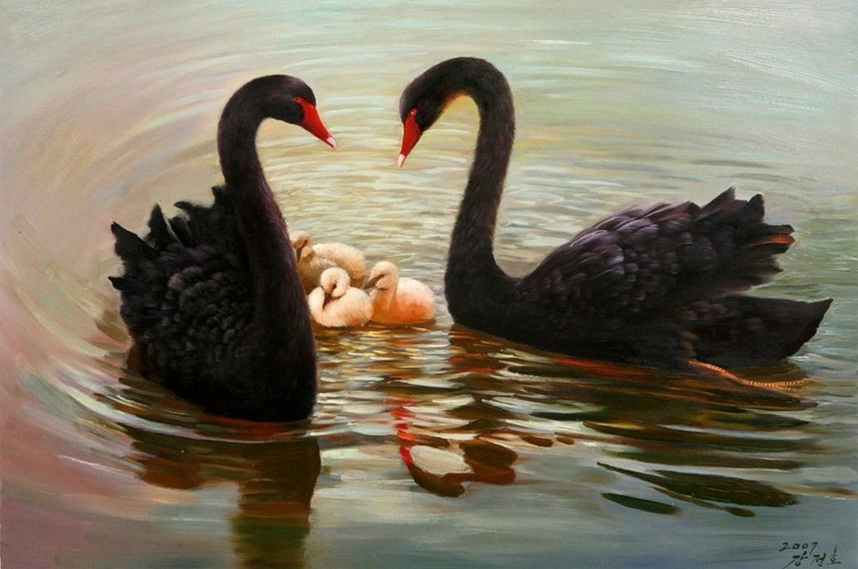 Черно белый лебедь