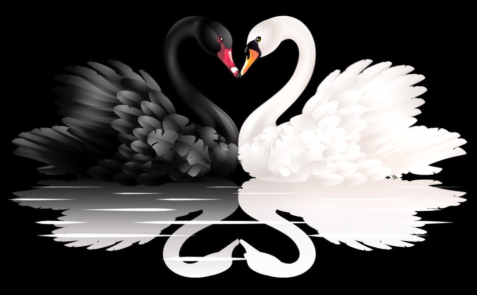 Лебеди символ верности