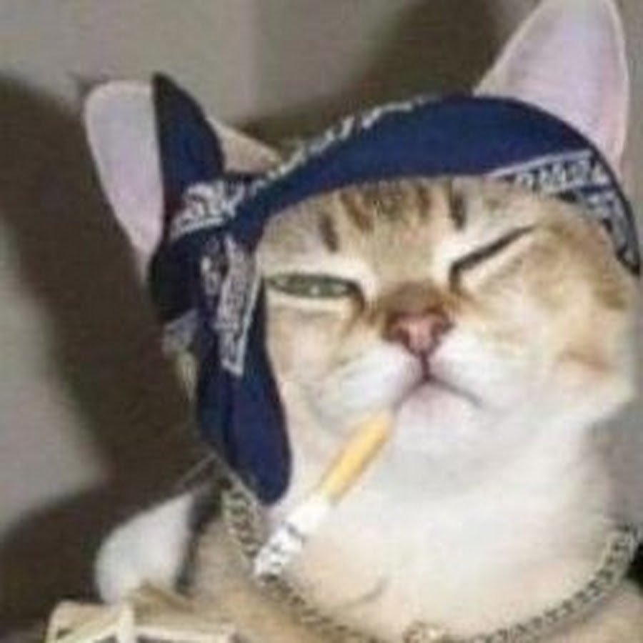 Бандана для котов