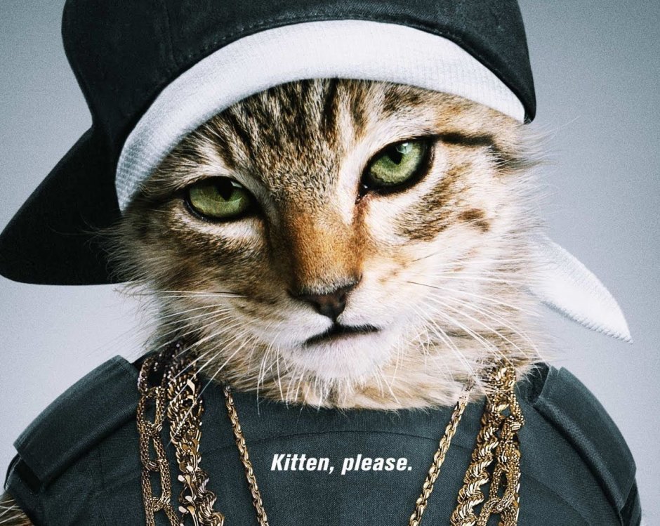 Платок коты