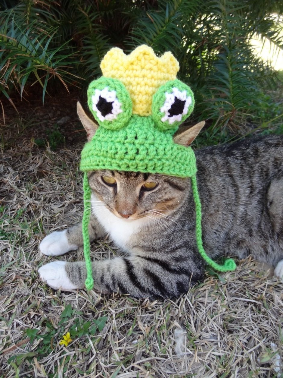 Кот в кофте спецназ для пацанов