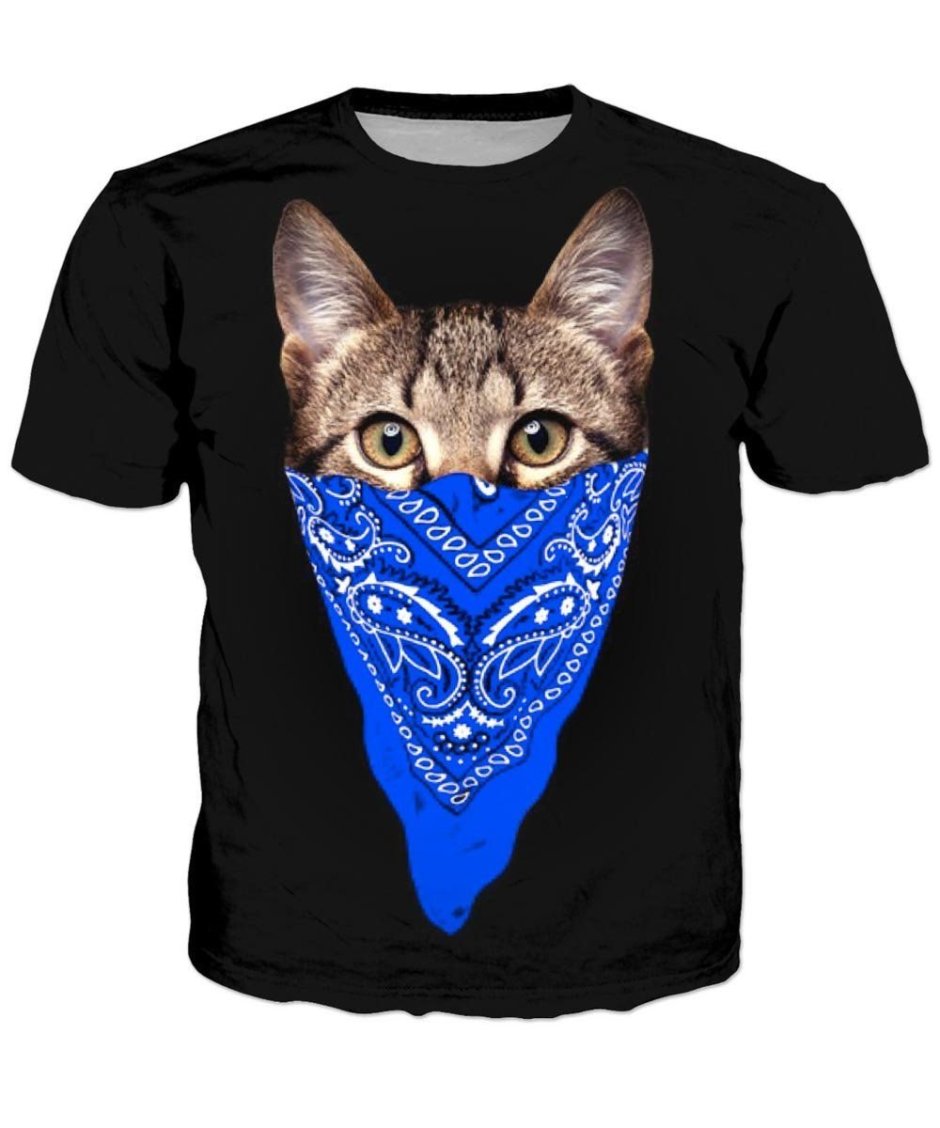 Кот в зелёной бандане