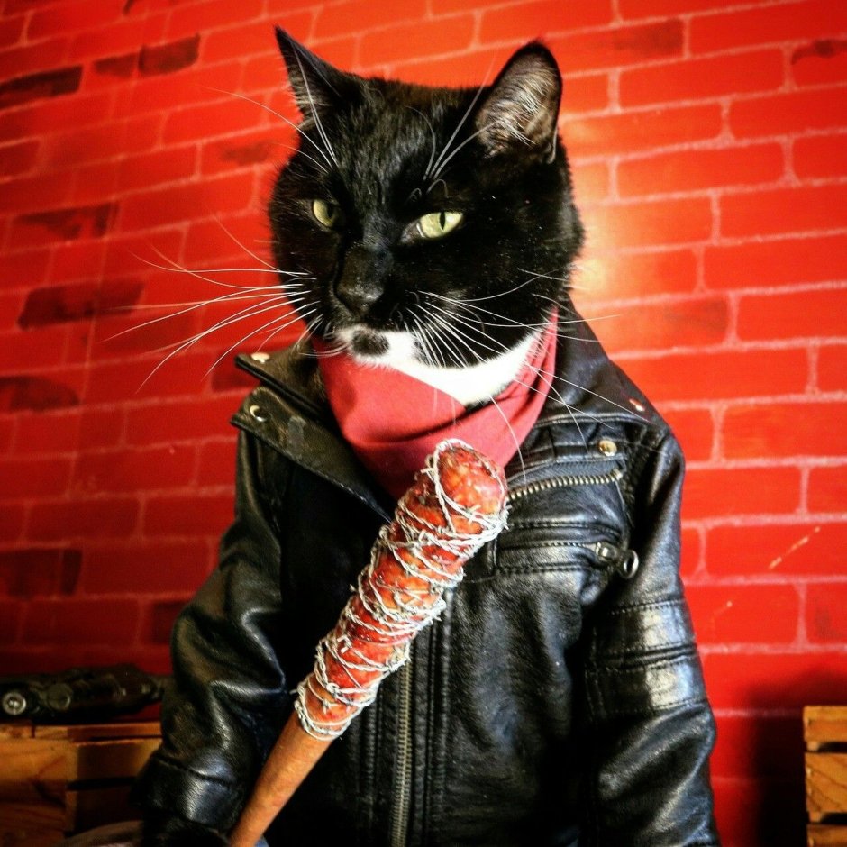 Рыжая кошка с банданой