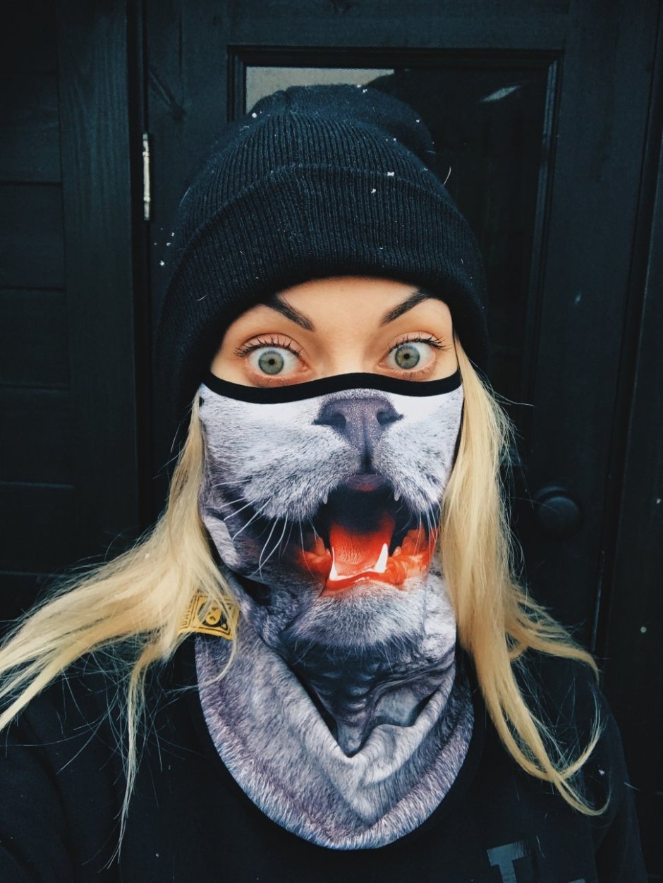 Кот в бандане на аву