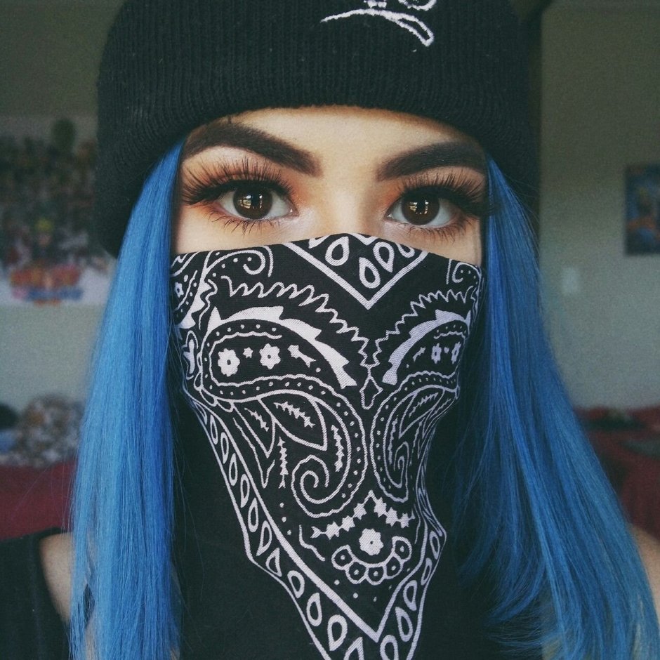 Кот в панамке