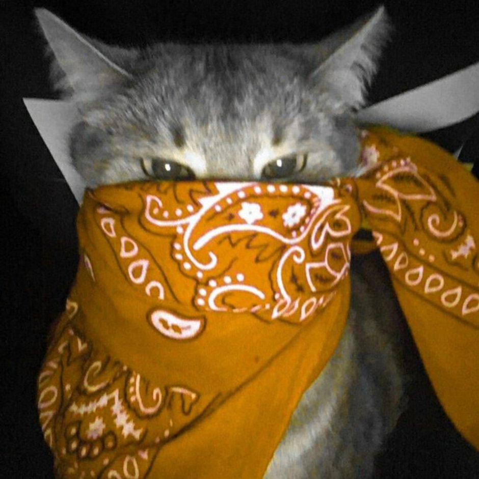 Грампи Кэт в маске