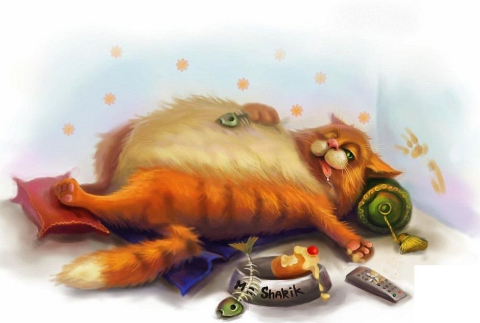 Обожравшийся кот