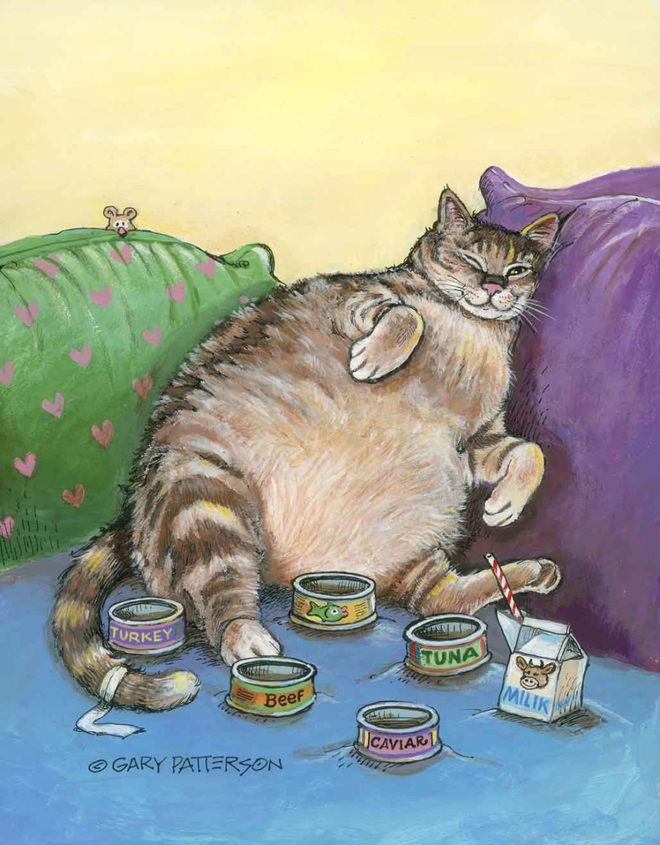 Fat Cat far