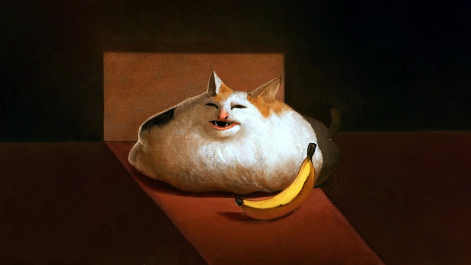 Кот Мем