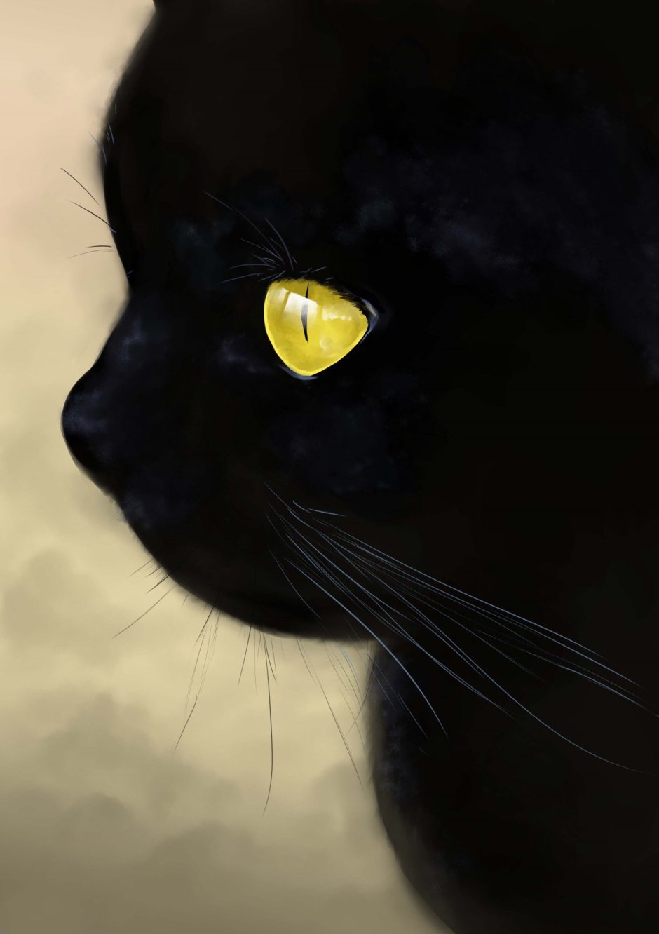 Богемская кошка чёрная