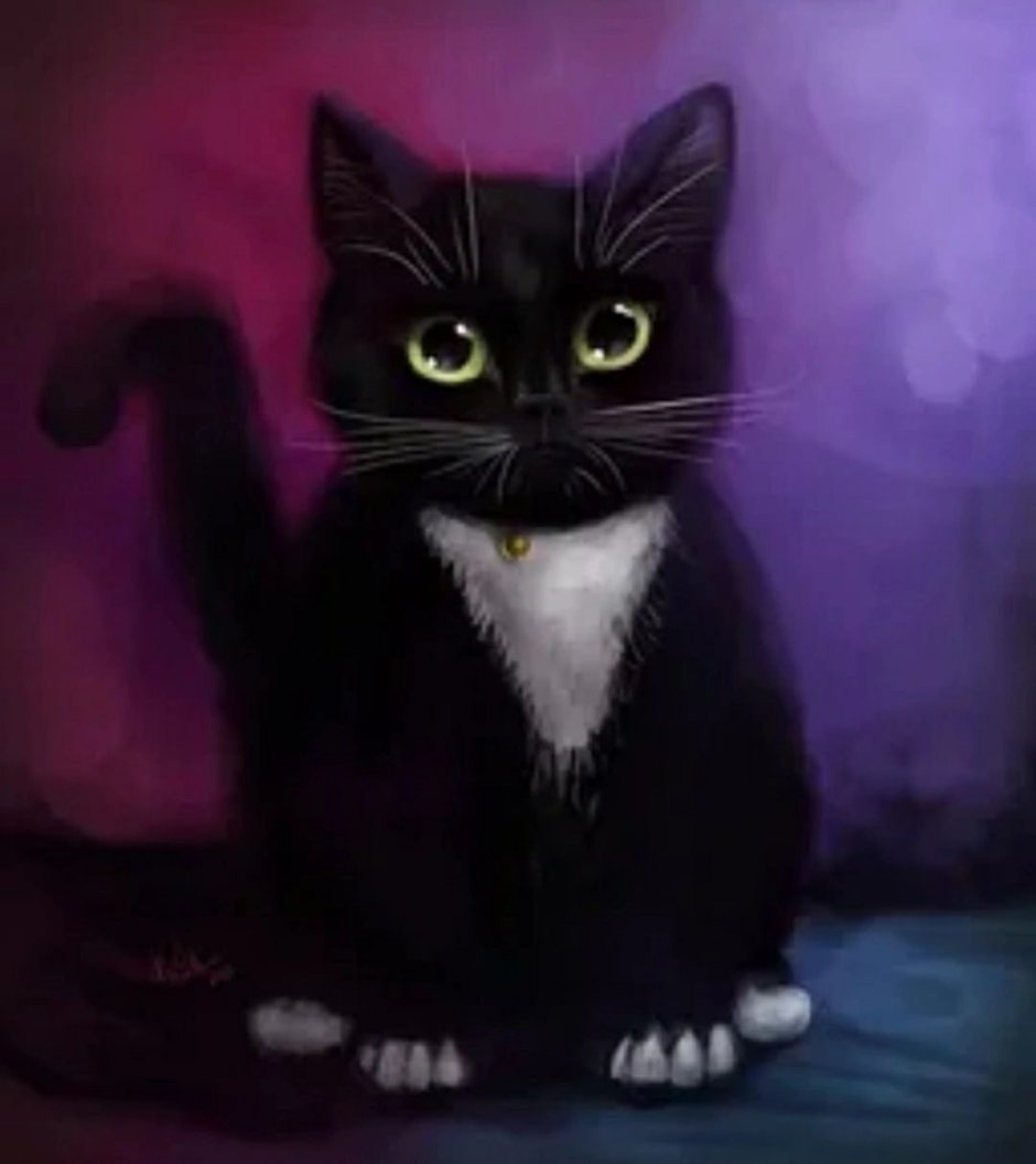 Черно белая кошка арт