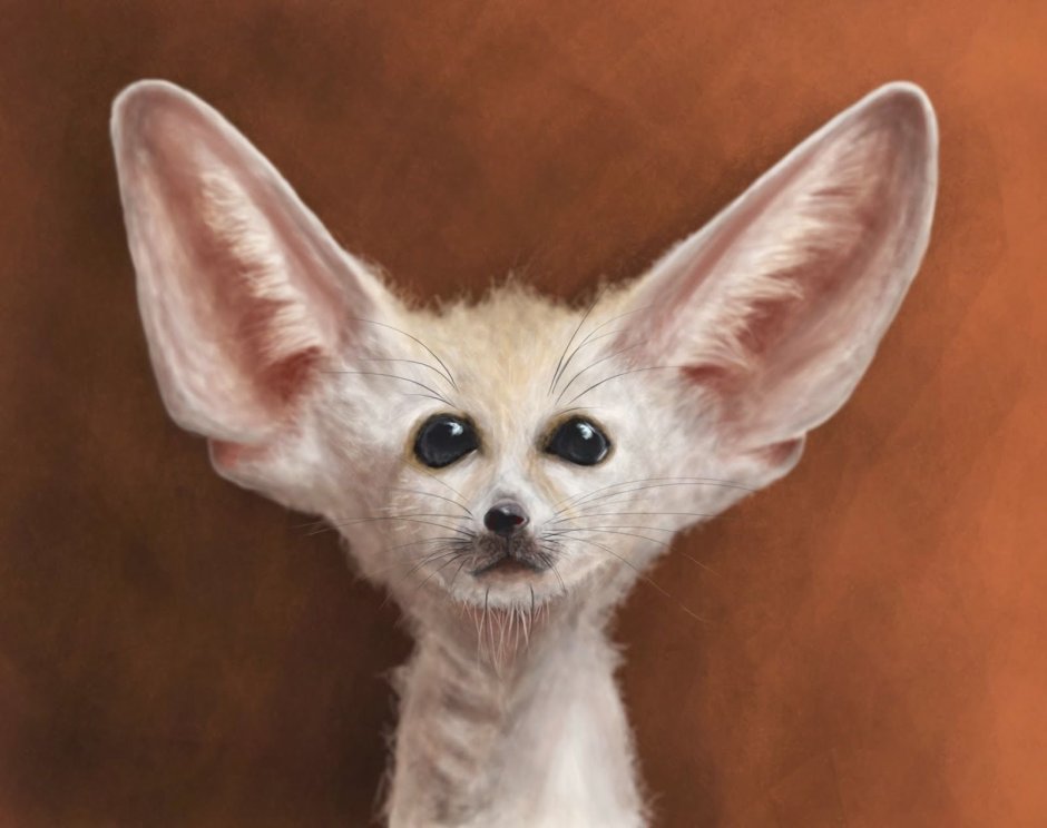 Феннек Шэнд