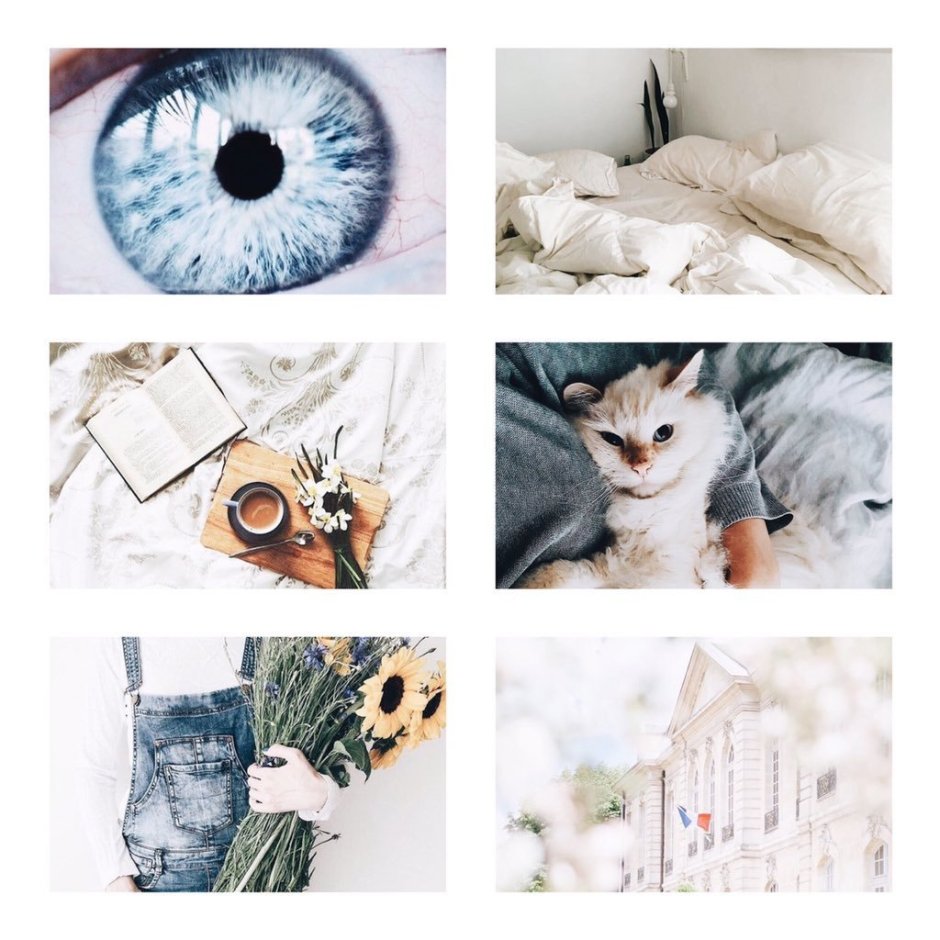 Эстетика котов коллаж