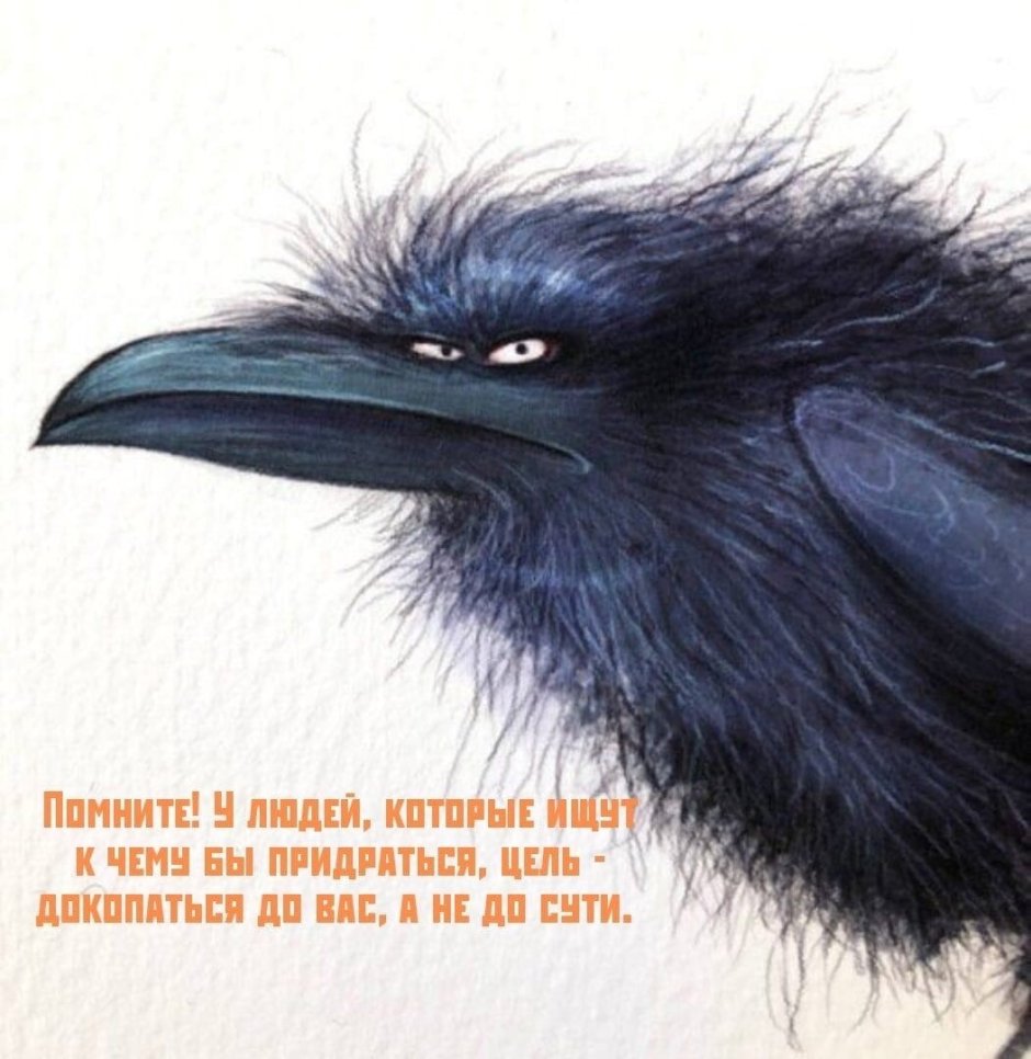 Смешная ворона картина