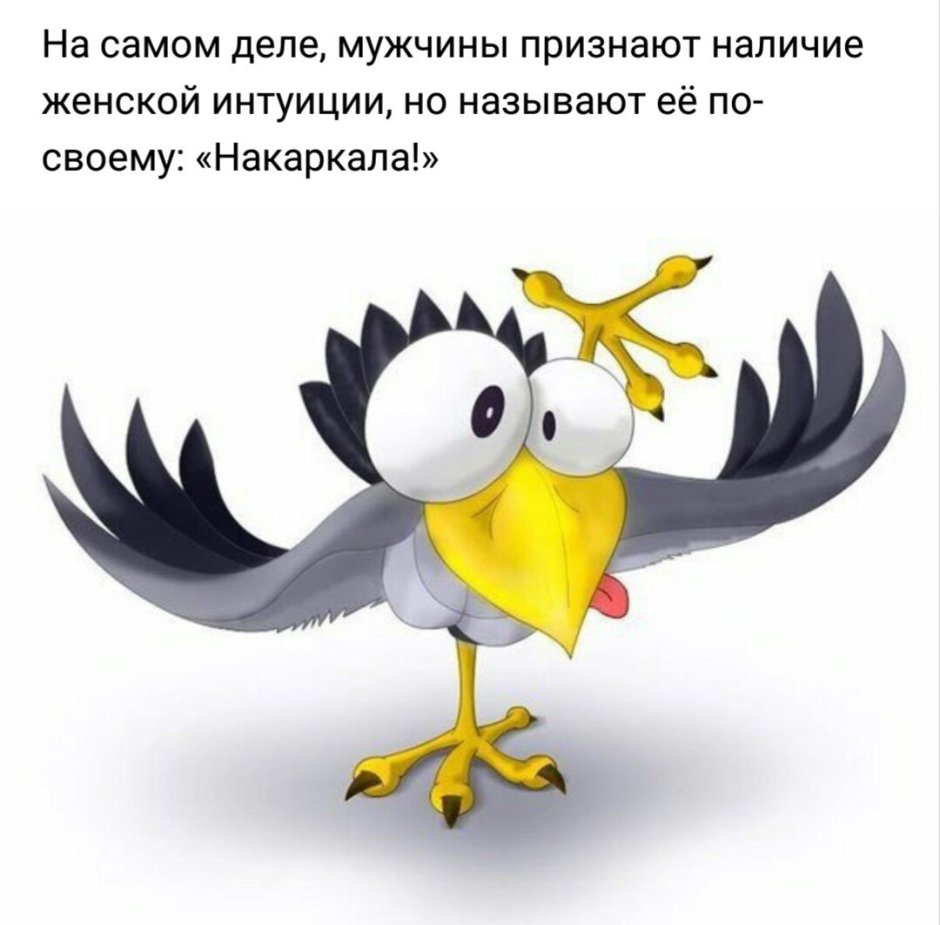 Ворона забавная