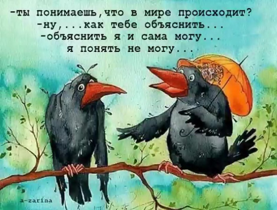 Ворона юмор