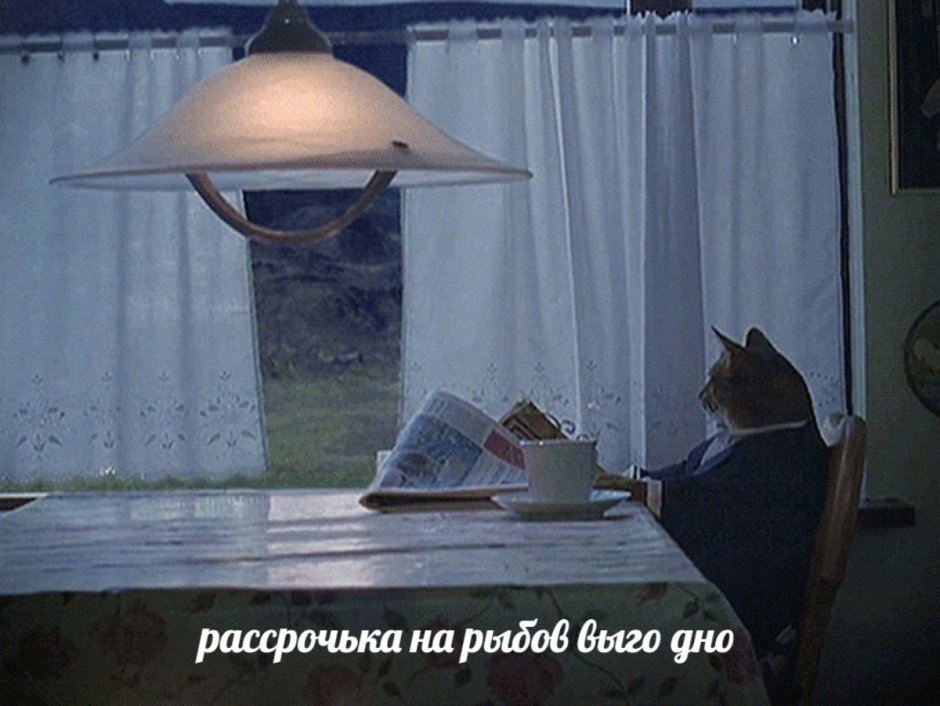 Кот с газетой за столом