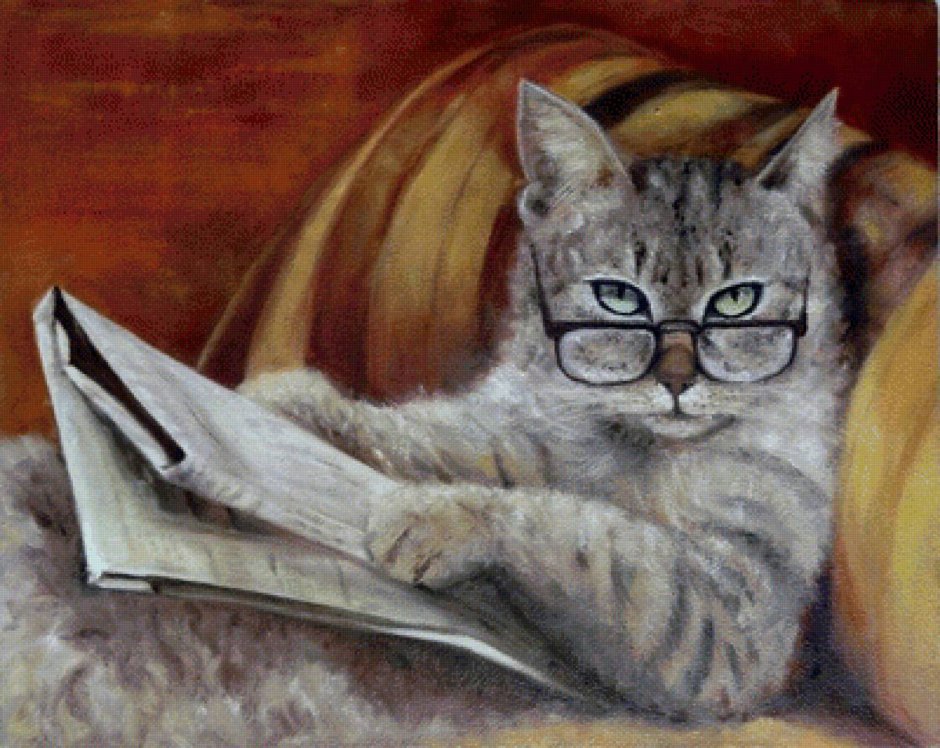 Умный кот