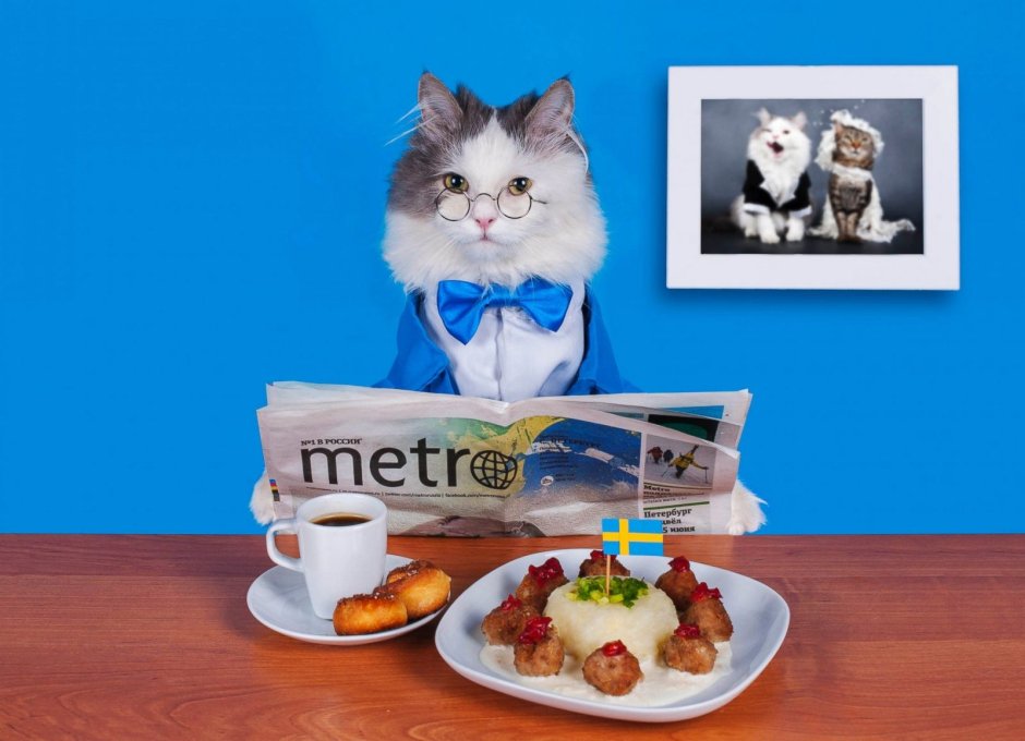 Доброе утро котик