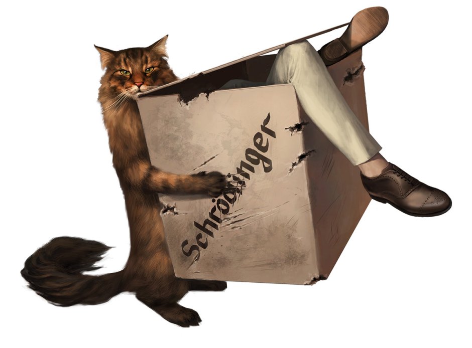 Эрвин Шрёдингер кот