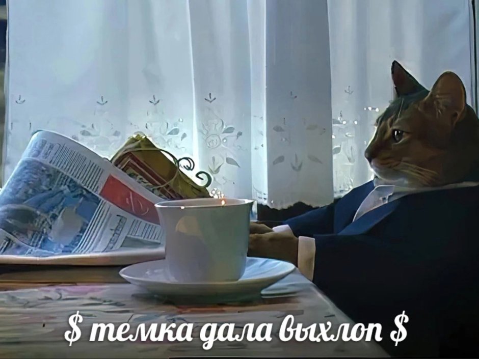 Противный кот Мем