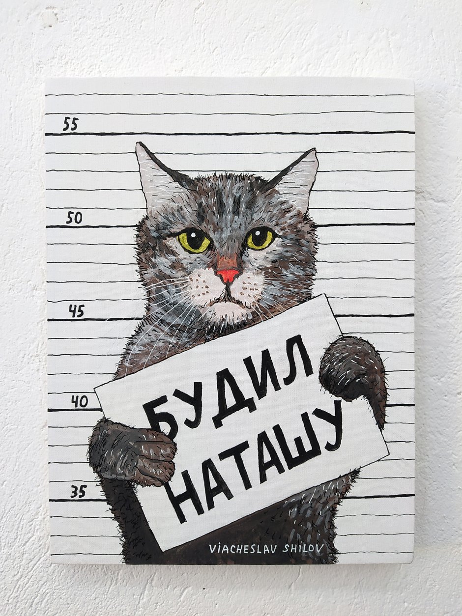 Наташины котики