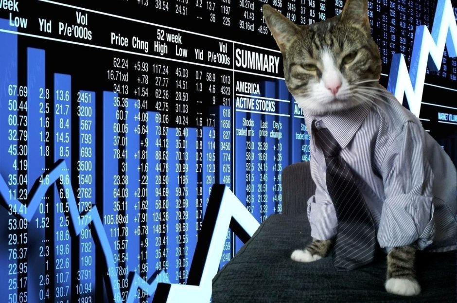 Котики на бирже