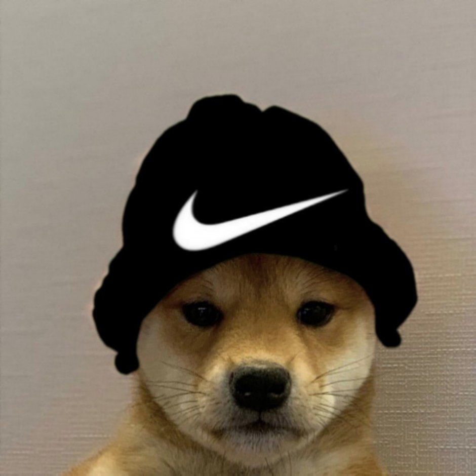 Черный Бобр