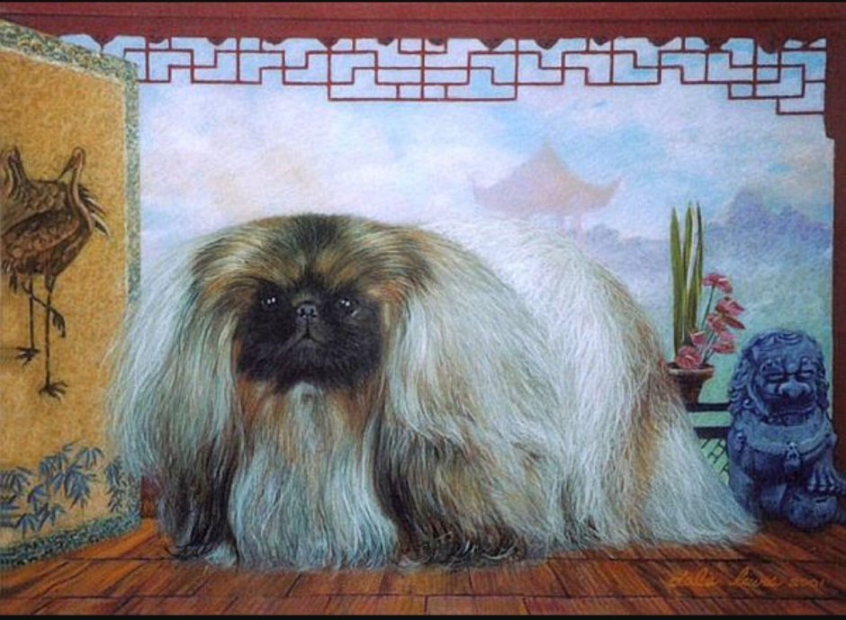 Пекинесы в Китае