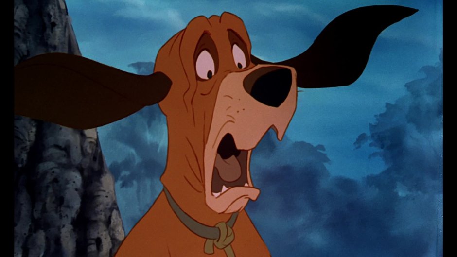 Тод из Лис и пёс