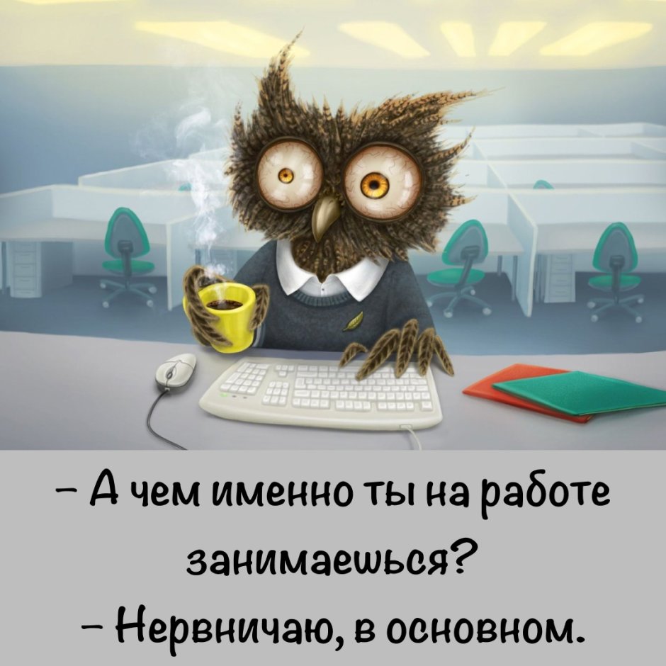 Котзилла кот