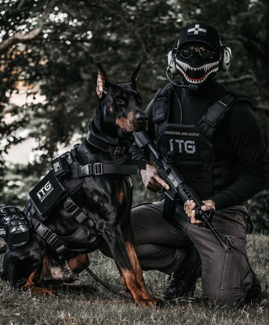 Доберман k9