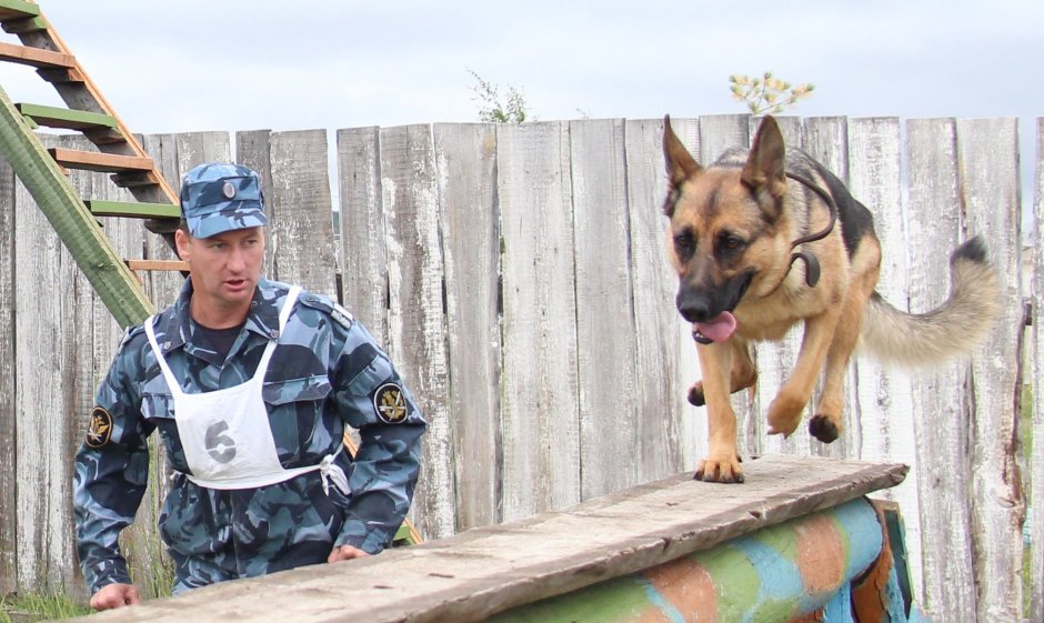 УФСИН кинолог Якутск