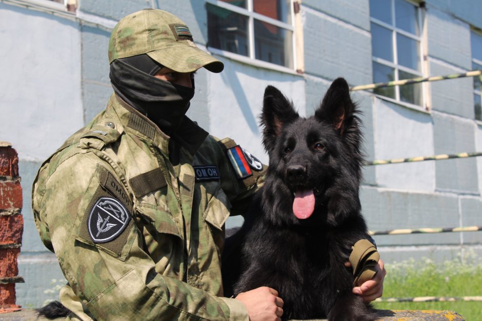 ОМОН РФ кинологи